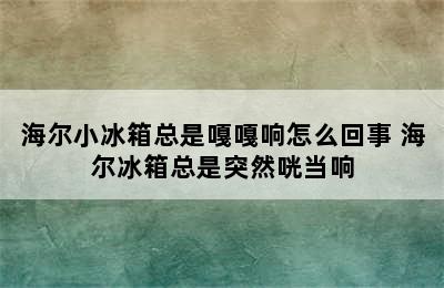 海尔小冰箱总是嘎嘎响怎么回事 海尔冰箱总是突然咣当响